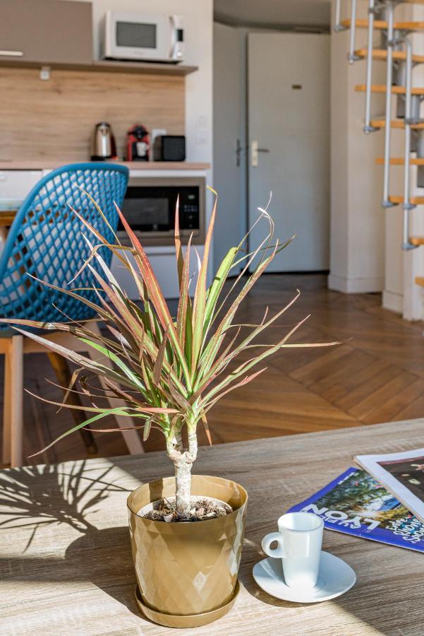 Le Royale Haussmann 4 Places Loft Canut Lyon Kültér fotó